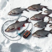 Эхолот Практик 6M