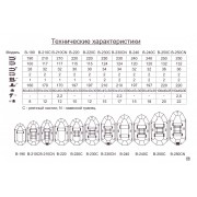 Надувная 2-ух местная ПВХ лодка BARK B-250CND с передвижными сидениями