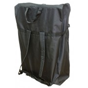 Надувная 2-местная ПВХ лодка Fenix 250