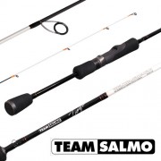 Спиннинг TEAM SALMO TIOGA 2.3м, тест 7-23, carbon 40T
