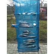 Сушилка для рыбы и грибов 45х45х120 см