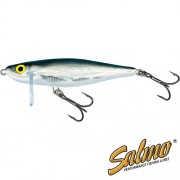 Воблер SALMO PL Thrill TH9-***