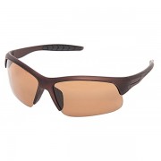 Очки поляризационные SALMO S-2522