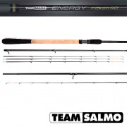 Удилище пикерное TEAM SALMO ENERGY Picker 40, 3.0 м, тест 40 г, карбон, 170 г