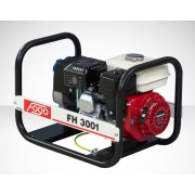 Бензиновый генератор FOGO FH 3001